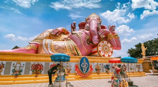 半日ピンクガネーシャ直行往復バス